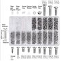 Kit de Réparation de Lunettes 1000PCS Micro Vis Kit de Réparation Vis avec Brucelles Multifonctionnel Tournevis Différentes Tail