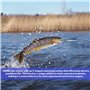 LEKEFETO Lot de 5 leurres de pêche avec 2 hameçons triples et boîte de rangement - Pour la pêche en eau douce et en eau de mer -