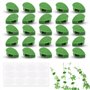 Clips Plantes 30 Pièces