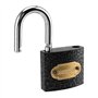 SEUNMUK Lot de 8 cadenas de 38 mm, noyau en cuivre robuste avec clé, petit cadenas d'extérieur haute sécurité pour boîte à outil