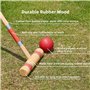 Pointyard Ensemble de croquet pour 6 joueurs avec maillets en bois, boule colorée, guichets, piquets pour adultes/adolescents/fa