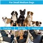 Siège Auto pour Chien avec Côtés Robustes et Ceinture de Sécurité pour Chien