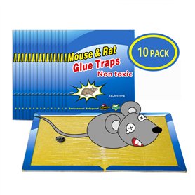 Piège à Souris Pièges à Rats
