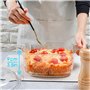 NUTRIUPS Cocotte en verre trempé de 2,4 l avec couvercle, passe au four, plat de cuisson rond de 19 cm (transparent, 2,4 l)
