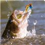 6 Pièces Leurres de Pêche à l'Appât, Leurre de Pêche 3D, Leurres de Pêche pour Brochet, Naufrage Bionique Artificiels Leurres de