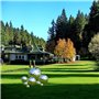 Tiberham Lot de 8 boules creuses réfléchissantes en acier inoxydable pour jardin et maison 42 à 200 mm
