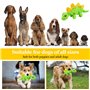 YBCCBY Jouet en Peluche pour Chien, Jouet Grinçant pour Chien Jouet Interactif en Peluche pour Chien Jouets pour Animaux de Comp