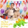 YBCCBY Jouet en Peluche pour Chien, Jouet Grinçant pour Chien Jouet Interactif en Peluche pour Chien Jouets pour Animaux de Comp