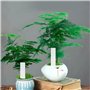 Étiquettes et Accessoires Réutilisables Pour Plantes