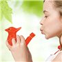 Sifflet à Eau Colorées pour Décoration de Mai