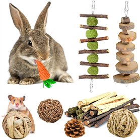 KAONESS Ensemble de Jouets à mâcher pour Lapin