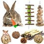 KAONESS Ensemble de Jouets à mâcher pour Lapin
