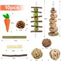 Jouet pour Animal de Compagnie pour Cochon d'Inde Chipmunk Totoro