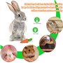 KAONESS Ensemble de Jouets à mâcher pour Lapin, Jouet pour Animal de Compagnie pour Cochon d'Inde Chipmunk Totoro