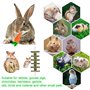KAONESS Ensemble de Jouets à mâcher pour Lapin, Jouet pour Animal de Compagnie pour Cochon d'Inde Chipmunk Totoro