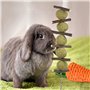 KAONESS Ensemble de Jouets à mâcher pour Lapin, Jouet pour Animal de Compagnie pour Cochon d'Inde Chipmunk Totoro