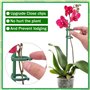 Tuteurs pour Plantes,20 Pièces Tuteur Plante Interieur, 20 Tiges de Plantes Clips, 10 Tiges Tube d'extension, Attache Plante, Tu