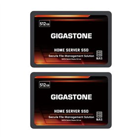 GIGASTONE Serveur SSD 512Go (Lot de 2) NAS SSD Cache 24h/24