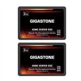 Gigastone Serveur SSD 2To (Lot de 2) NAS SSD Cache 24h/24