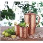 Herbever ® Carafe indienne en cuivre pur avec 2 verres martelés