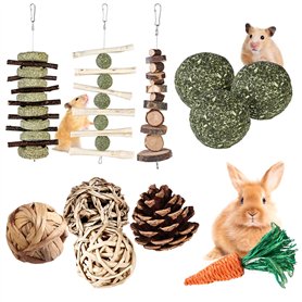 Jouets à Mâcher pour Lapin
