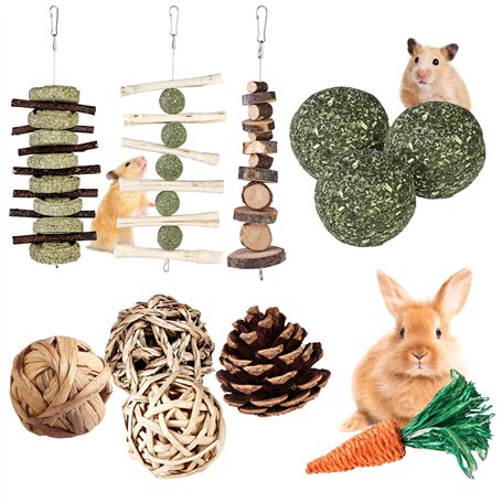 Jouets à Mâcher pour Lapin