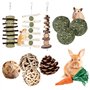 Jouets à Mâcher pour Lapin