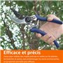 Amazon Basics Sécateur, Bleu