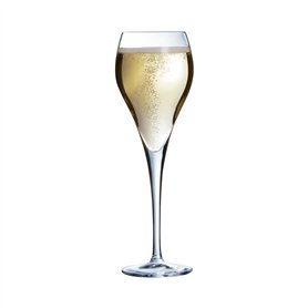 Arcoroc - Collection Brio - 6 flûtes à Champagne 16 cl - Transparence et résistance - Fabriquées en France - Emballage renforcé