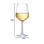 Luminarc - Collection Vinetis - 6 verres à pied 30 cl - Design moderne et élégant - Fabriqués en France - Emballage renforcé
