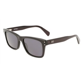 Salvatore Ferragamo Sf1039s Sunglasses