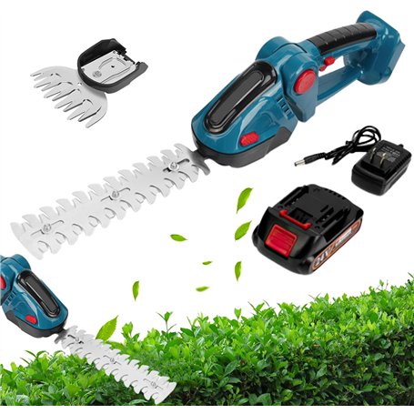 Taille Haie Electrique sans Fil 2 en 1