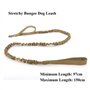 Laisse for Chien