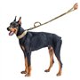 Harnais d'extérieur Corde for Chien Traction for Animaux de Compagni