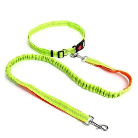 Corde à Glisser for Animaux de Compagnie