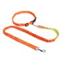 Corde à Glisser for Animaux de Compagnie