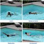 Free Swim Système de Nage Stationnaire en Bassin Privatif - Ceinture réglable - Adaptée Adultes Professionnels Enfants Seniors