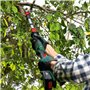 Bosch Barre d'extension pour sécateur sans fil AdvancedPrune 18V-45 (augmentation de la hauteur de l'outil de 1,2 à 1,8 m)