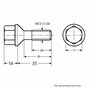 Restagraf - Vis de Roue Jante Aluminium - Compatible avec Dacia, Mitsubishi, Renault - Réf. 1454 - Blister de 4