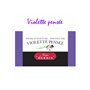 Violette pensée