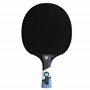 Cornilleau - Perform 500 - Raquette de ping Pong d'intérieur pour Jouer en Club All - revêtement ITTF 3 étoiles