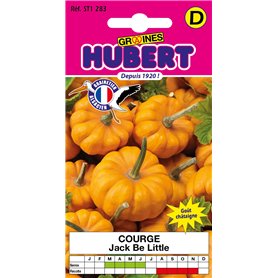 Graines de Courge Jack Be Little - Pomarine
