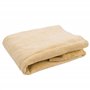 Peau de Chamois veritable 14 DM ² pour Nettoyage Voiture Caravane Camping Car