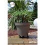Louis Moulin Roule-plante extensible 27-37 cm - Anthracite - Made in France