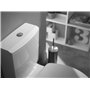 Wirquin 10724082 Mécanisme chasse d'eau wc simple chasse avec bouton poussoir à bouton indépendant MP, gris