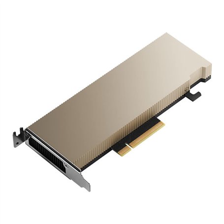 PNY NVIDIA A2 Module 16GB