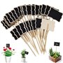 Étiquette de Jardin 30 Pieces T-Type Étiquettes Plantes en Boi Imperméable Etiquettes de Plantes en Ardoise pour Jardin Graines