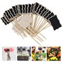 Étiquette de Jardin 30 Pieces T-Type Étiquettes Plantes en Boi Imperméable Etiquettes de Plantes en Ardoise pour Jardin Graines 