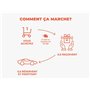 Smartbox - Coffret Cadeau - Baptême Passager : 3 Tours en Wolf Tornado et simulateur de Conduite près d'Alès - Baptême Passager 
