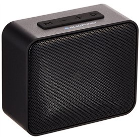 BLAUPUNKT BLP3140 Haut-Parleur Bluetooth 5 W avec Fente pour Carte mémoire Noir
